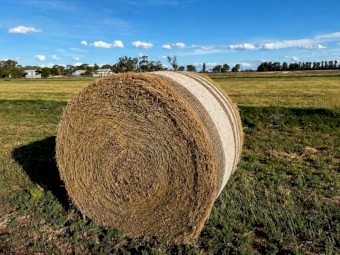 30 x Lucerne Hay 500kg 5x4 Round Bales