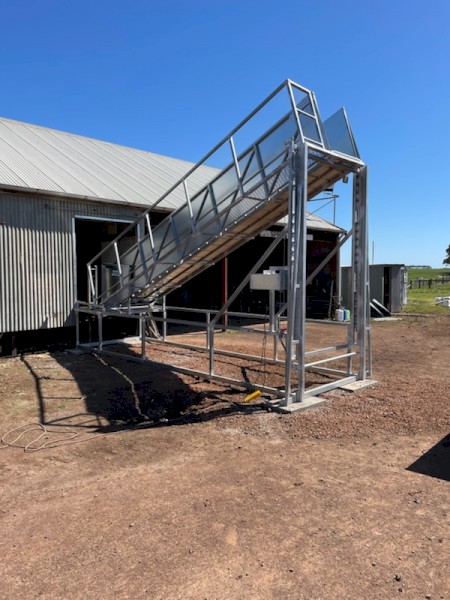 3 Deck Permanent/Wool Shed Sheep Loading Ramp