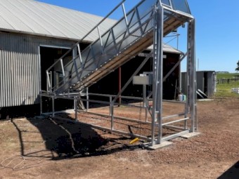 3 Deck Permanent/Wool Shed Sheep Loading Ramp