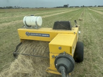 Ryegrass Small Squares 