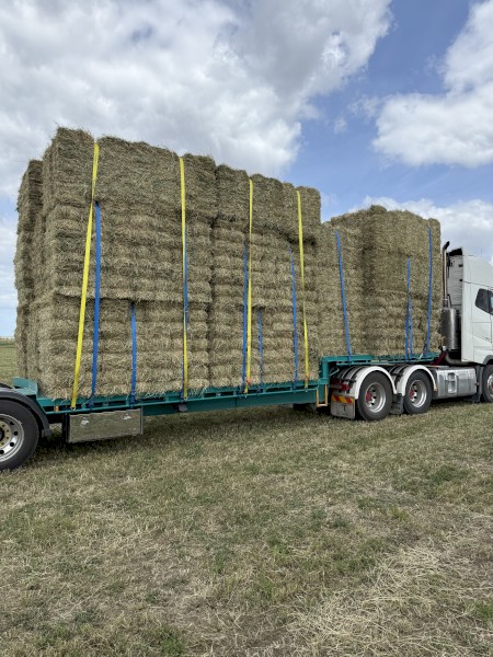 Lucerne Ryegrass Mix