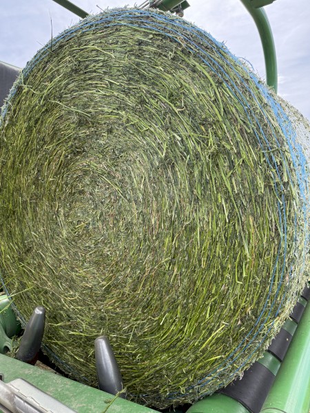 Lucerne Ryegrass Mix silage 