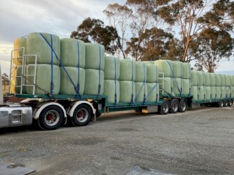 Lucerne Ryegrass Mix silage 