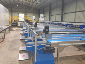 GP Optical Air Jet Cherry Grader