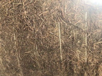 100mt Vetch Hay 8x4x3 Bales