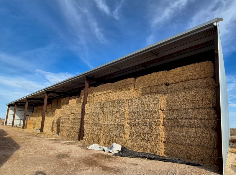 Barley Hay 630kg 8x4x3 Bales