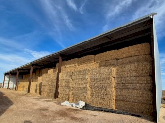 Barley Hay 630kg 8x4x3 Bales