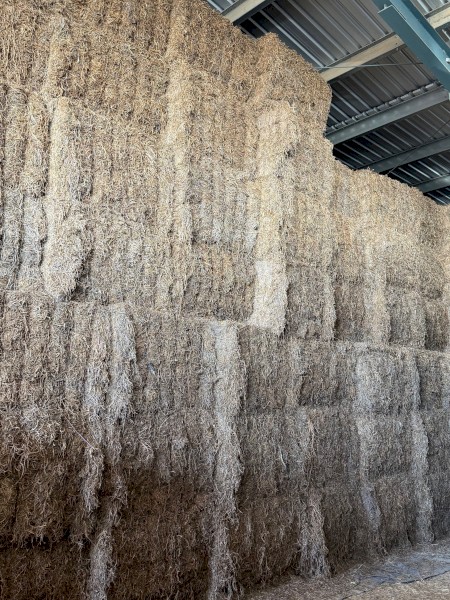 250mt Vetch Hay 8x4x3 Bales