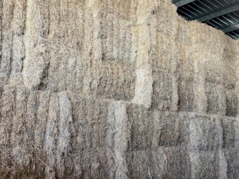 250mt Vetch Hay 8x4x3 Bales