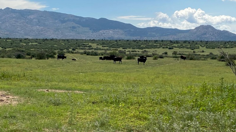 WANTED Lease Country for Motivated Young Farmer