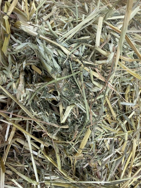 Vetch Oat Hay