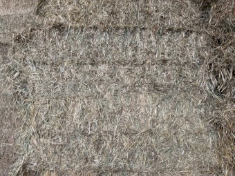 Vetch Oat Hay