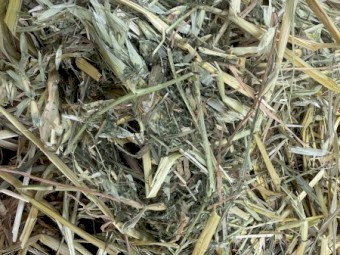 Vetch Oat Hay