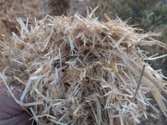 1000mt Barley Straw 480-550kg 8x4x3 Bales