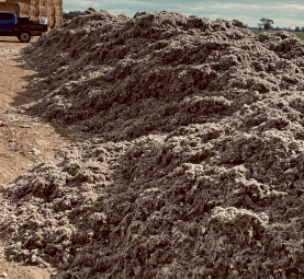 Dairy Bedding (Not Fodder)