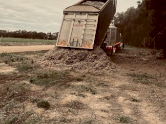 Dairy Bedding (Not Fodder)