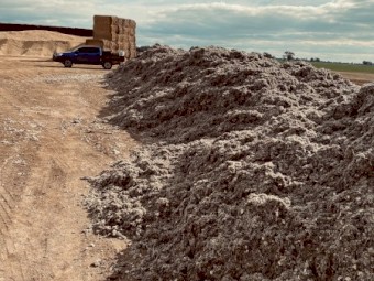 Dairy Bedding (Not Fodder)