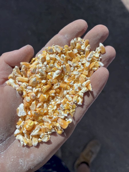 500mt Cracked or Whole Maize