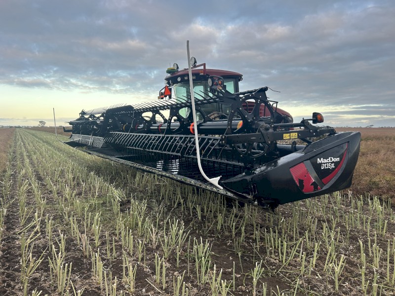 2017 MacDon D135XL Windrower Front
