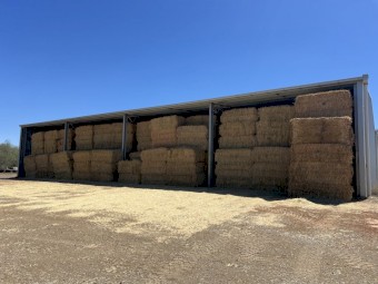 500mt Barley Straw 8x4x3 Bales