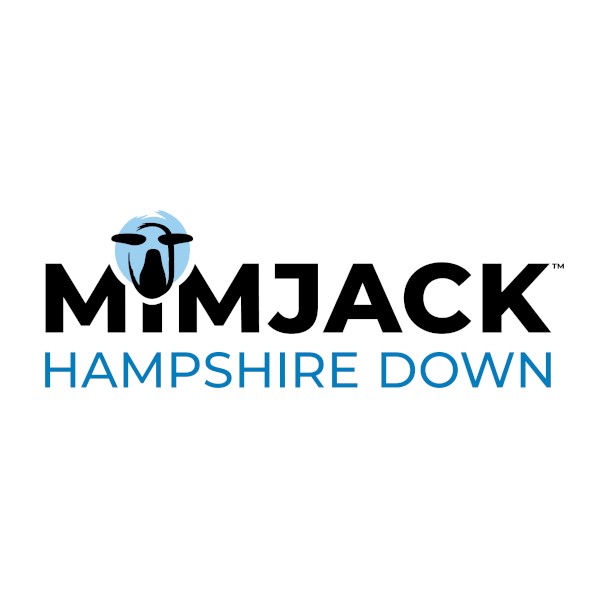 Hampshire Down Stud Rams For Sale