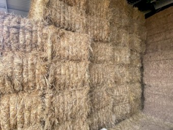 700mt Oaten Hay 8x4x3 Bales