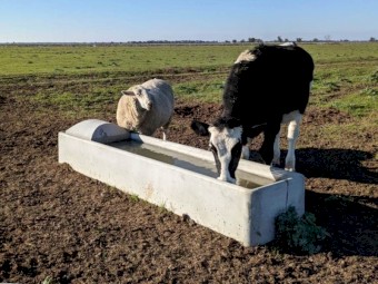 3m Concrete Rectangle Trough 485ltr Capacity