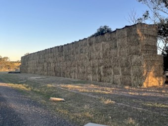 Wheaten Hay 8x4x3 Bales