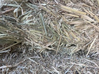 500mt Wheaten Hay 8x4x3 Bales