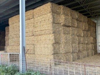 80mt Wheaten Hay 620kg 8x4x3 Bales