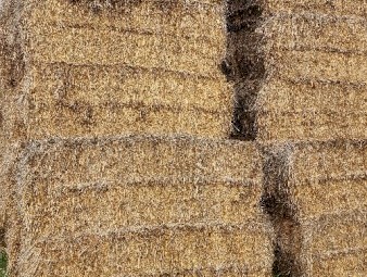 395mt Wheaten (Awned) Hay 530kg 8x4x3 Bales