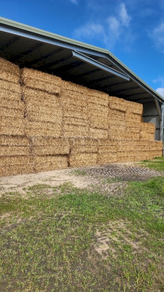 675mt Oaten Hay 540kg 8x4x3 Bales