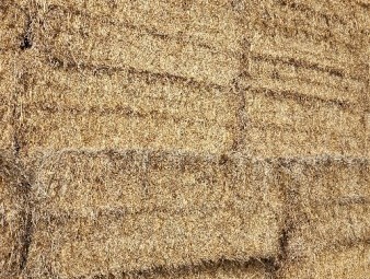 675mt Oaten Hay 540kg 8x4x3 Bales