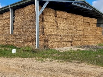 675mt Oaten Hay 540kg 8x4x3 Bales