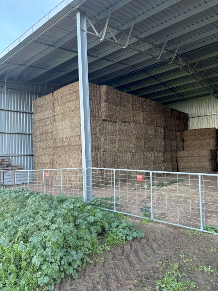 80mt Vetch Hay 650kg 8x4x3 Bales