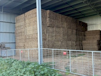 80mt Vetch Hay 650kg 8x4x3 Bales