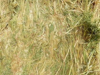 75mt Oaten Rye Hay 8x4x3 Bales