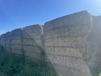 490mt Cereal Rye Hay 700kg 8x4x3 Bales