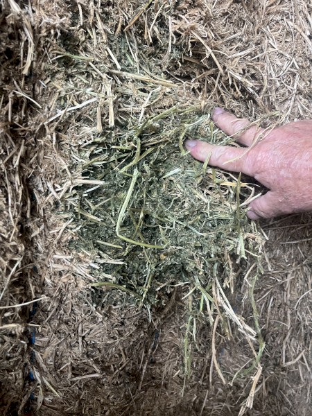 90mt Vetch Hay 580-600kg 8x4x3 Bales