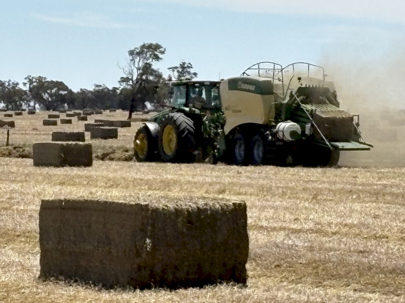 250mt Vetch Hay 8x4x3 Bales