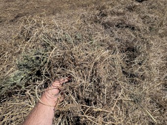 250mt Vetch Hay 8x4x3 Bales