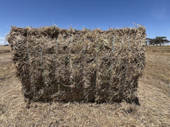 250mt Vetch Hay 8x4x3 Bales