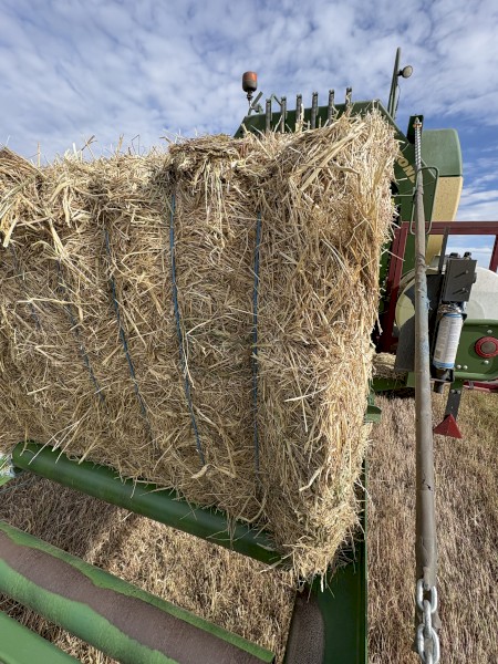 250mt Cereal Mix Hay 8x4x3 Bales