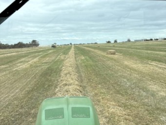 250mt Cereal Mix Hay 8x4x3 Bales