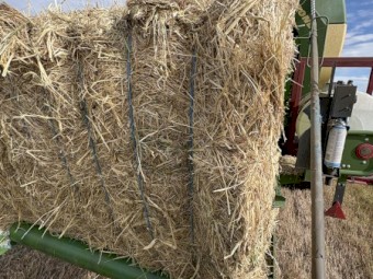 250mt Cereal Mix Hay 8x4x3 Bales