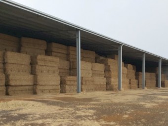 215mt Vetch Hay 640kg 8x4x3 Bales