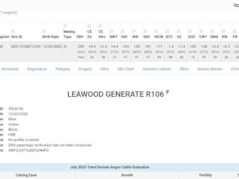Registered 6 year old Leawood Bull