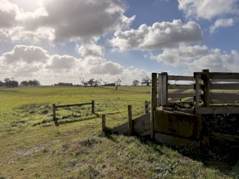 80 acres Sheep Agistment