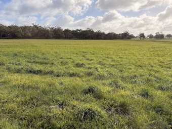 80 acres Sheep Agistment