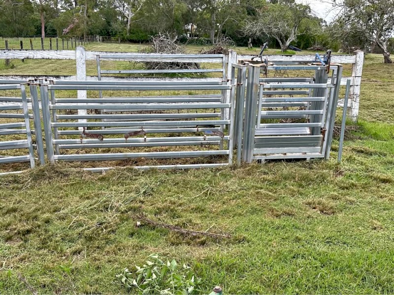 Livestock Crush and Yard
